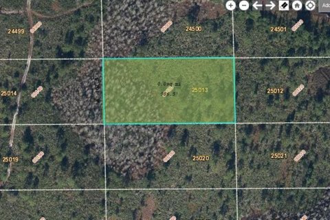 Land in Orlando, Florida № 2163560