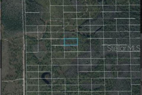 Land in Orlando, Florida № 2163560 - photo 4
