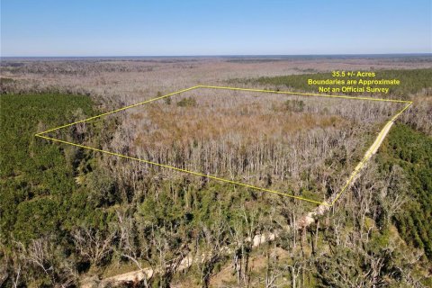 Terreno en venta en Madison, Florida № 1568878 - foto 1