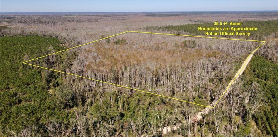 Terreno en Madison, Florida № 1568878