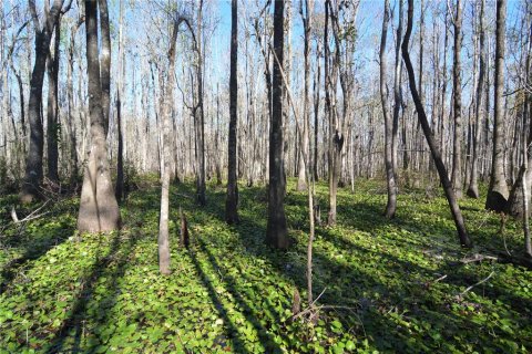 Terreno en venta en Madison, Florida № 1568878 - foto 15