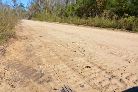 Terreno en venta en Madison, Florida № 1568878 - foto 20