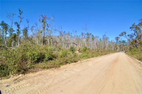 Terreno en venta en Madison, Florida № 1568878 - foto 11