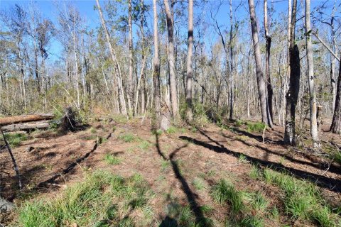 Terreno en venta en Madison, Florida № 1568878 - foto 5