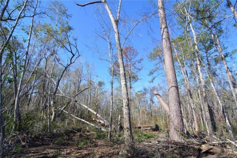 Terreno en venta en Madison, Florida № 1568878 - foto 13