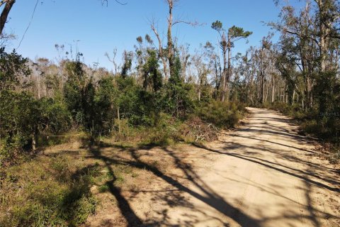 Terreno en venta en Madison, Florida № 1568878 - foto 8