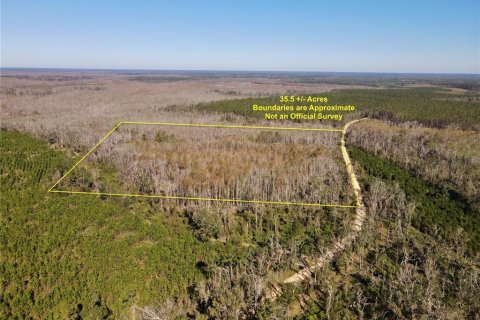 Terreno en venta en Madison, Florida № 1568878 - foto 2