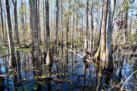 Terreno en venta en Madison, Florida № 1568878 - foto 14