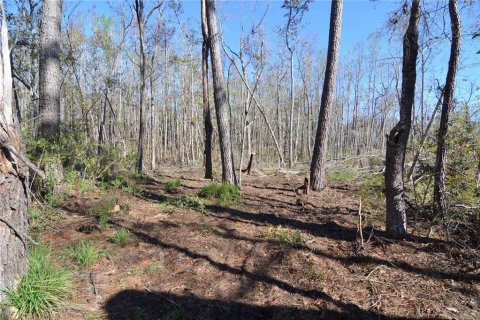 Terreno en venta en Madison, Florida № 1568878 - foto 10