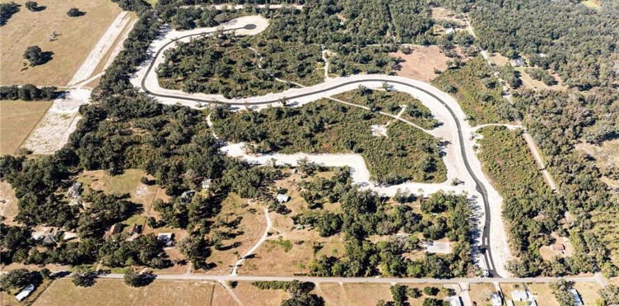 Land in Oxford, Florida № 1508498