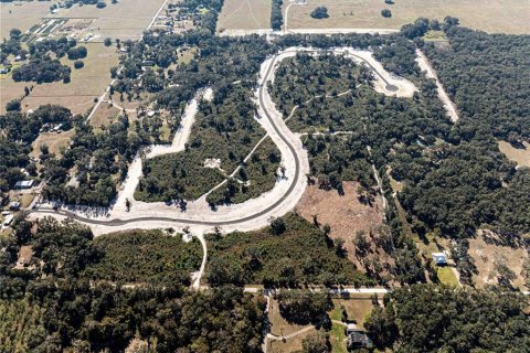 Land in Oxford, Florida № 1508498 - photo 8