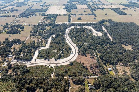 Land in Oxford, Florida № 1508498 - photo 7