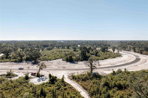 Land in Oxford, Florida № 1508498 - photo 15