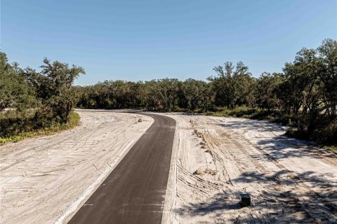 Land in Oxford, Florida № 1508498 - photo 12
