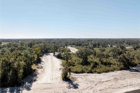 Land in Oxford, Florida № 1508498 - photo 17