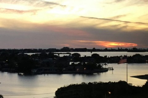 Copropriété à vendre à Belleair Bluffs, Floride: 1 chambre, 81.75 m2 № 1538647 - photo 5