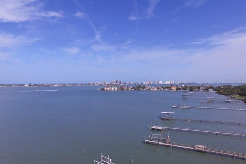 Copropriété à vendre à Belleair Bluffs, Floride: 1 chambre, 81.75 m2 № 1538647 - photo 24