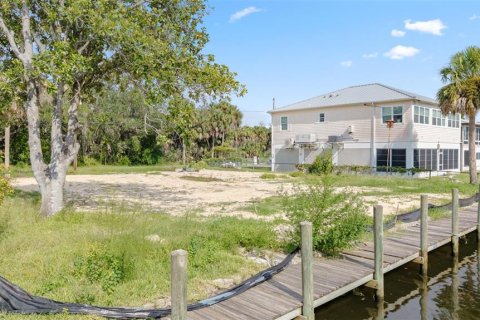 Land in Crystal River, Florida № 1910167 - photo 12