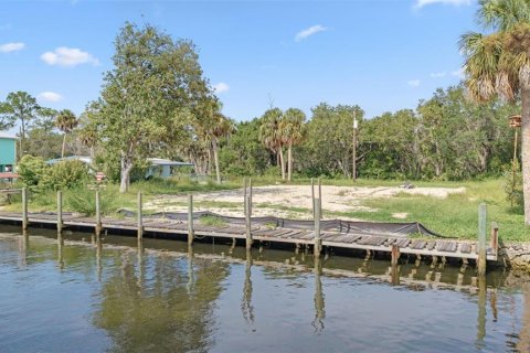 Land in Crystal River, Florida № 1910167 - photo 11