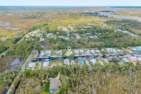 Land in Crystal River, Florida № 1910167 - photo 19