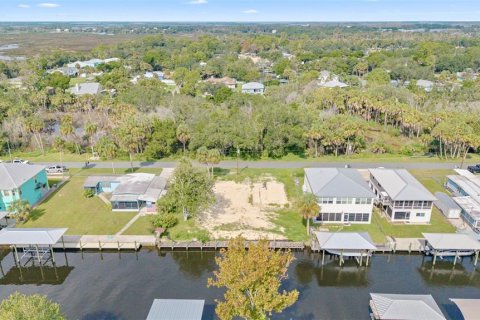 Land in Crystal River, Florida № 1910167 - photo 2