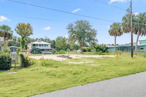 Land in Crystal River, Florida № 1910167 - photo 26