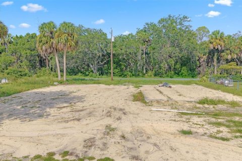 Land in Crystal River, Florida № 1910167 - photo 8