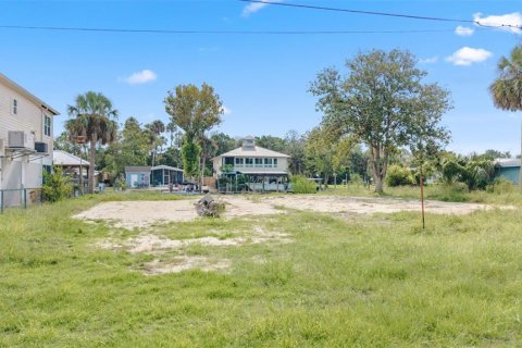 Land in Crystal River, Florida № 1910167 - photo 25
