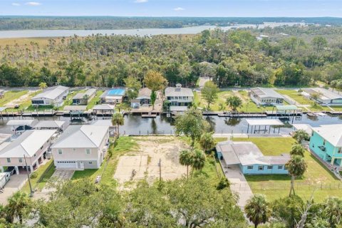 Land in Crystal River, Florida № 1910167 - photo 4