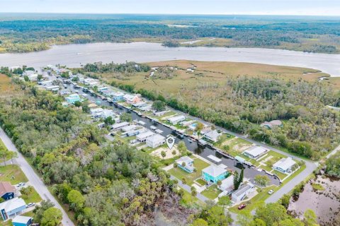 Land in Crystal River, Florida № 1910167 - photo 20