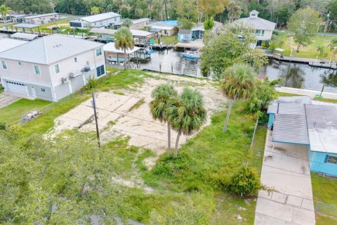 Land in Crystal River, Florida № 1910167 - photo 23