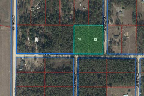 Terrain à Williston, Floride № 2104237