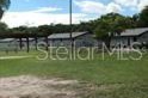 House in Eustis, Florida 2 bedrooms, 66.89 sq.m. № 1246769 - photo 5