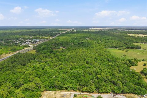 Land in Brooksville, Florida № 2099536 - photo 13