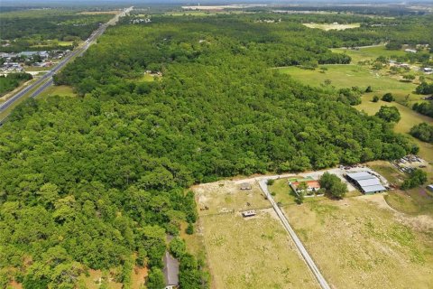 Land in Brooksville, Florida № 2099536 - photo 12