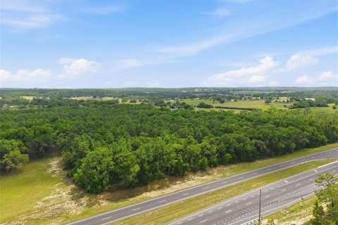 Land in Brooksville, Florida № 2099536 - photo 9