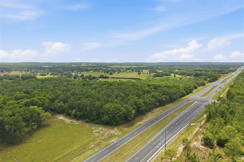 Land in Brooksville, Florida № 2099536 - photo 8