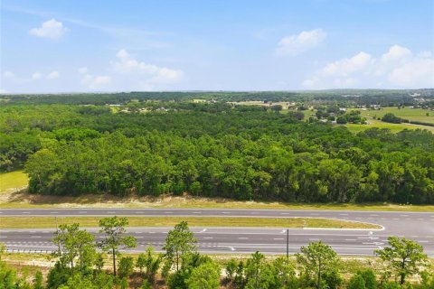 Land in Brooksville, Florida № 2099536 - photo 10