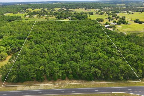 Land in Brooksville, Florida № 2099536 - photo 4