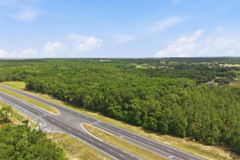 Land in Brooksville, Florida № 2099536 - photo 11