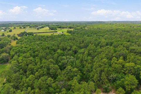 Land in Brooksville, Florida № 2099536 - photo 5