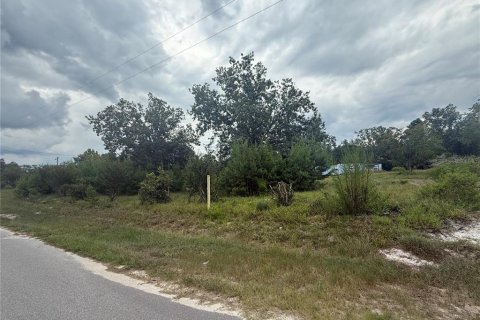 Terrain à vendre à DeLand, Floride № 1918631 - photo 6