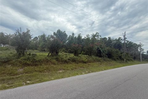 Terrain à vendre à DeLand, Floride № 1918631 - photo 1