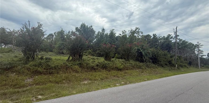 Terrain à DeLand, Floride № 1918631