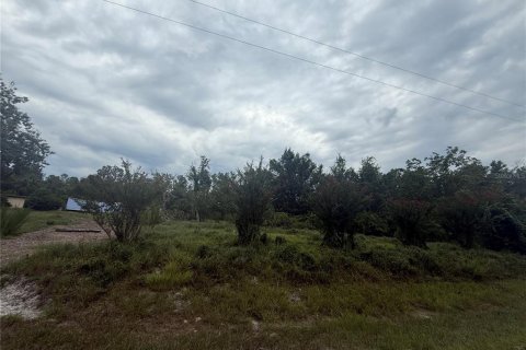 Terrain à vendre à DeLand, Floride № 1918631 - photo 3