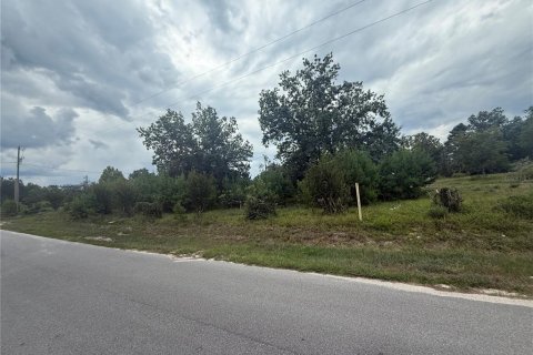 Terrain à vendre à DeLand, Floride № 1918631 - photo 4
