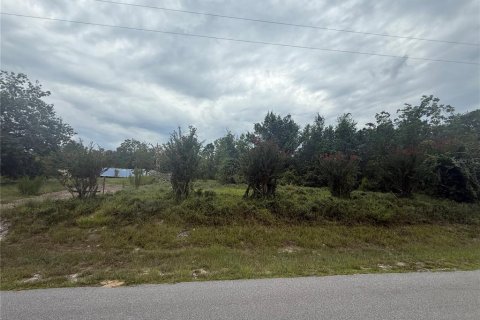 Terrain à vendre à DeLand, Floride № 1918631 - photo 2