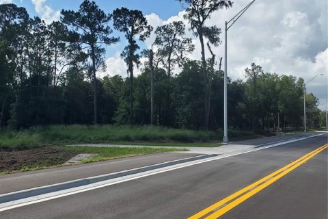 Terreno en venta en Winter Haven, Florida № 1741088 - foto 3