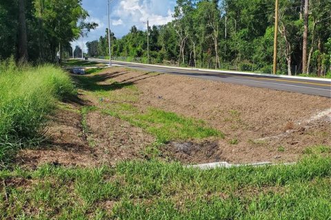 Terreno en venta en Winter Haven, Florida № 1741088 - foto 15