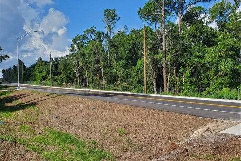 Terreno en venta en Winter Haven, Florida № 1741088 - foto 14